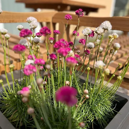 Apartment Traum-ferienwohnung Nr 1 In Der Residenz Am Kurpark - Familie Gorisen *